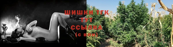 винт Гусь-Хрустальный