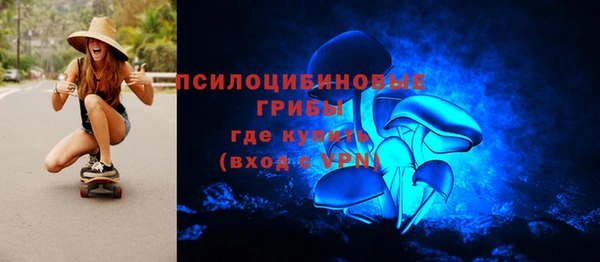 винт Гусь-Хрустальный