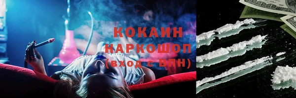 гидра Гусиноозёрск