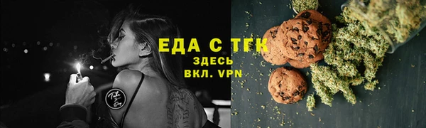 винт Гусь-Хрустальный