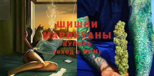 гидра Гусиноозёрск