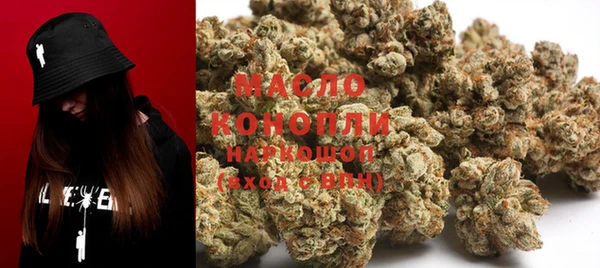 гидра Гусиноозёрск