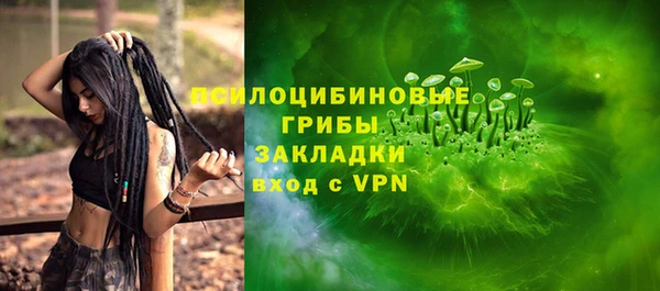 гидра Гусиноозёрск