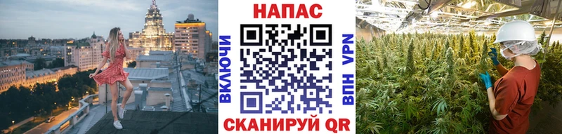 дарнет шоп Новый Оскол МАРИХУАНА гибрид